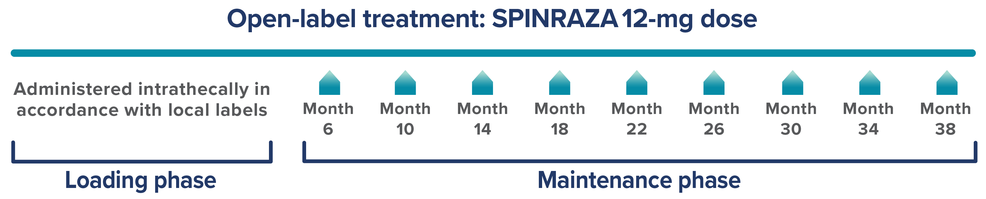 Dosing frequency graphic from the Gunther real-world study