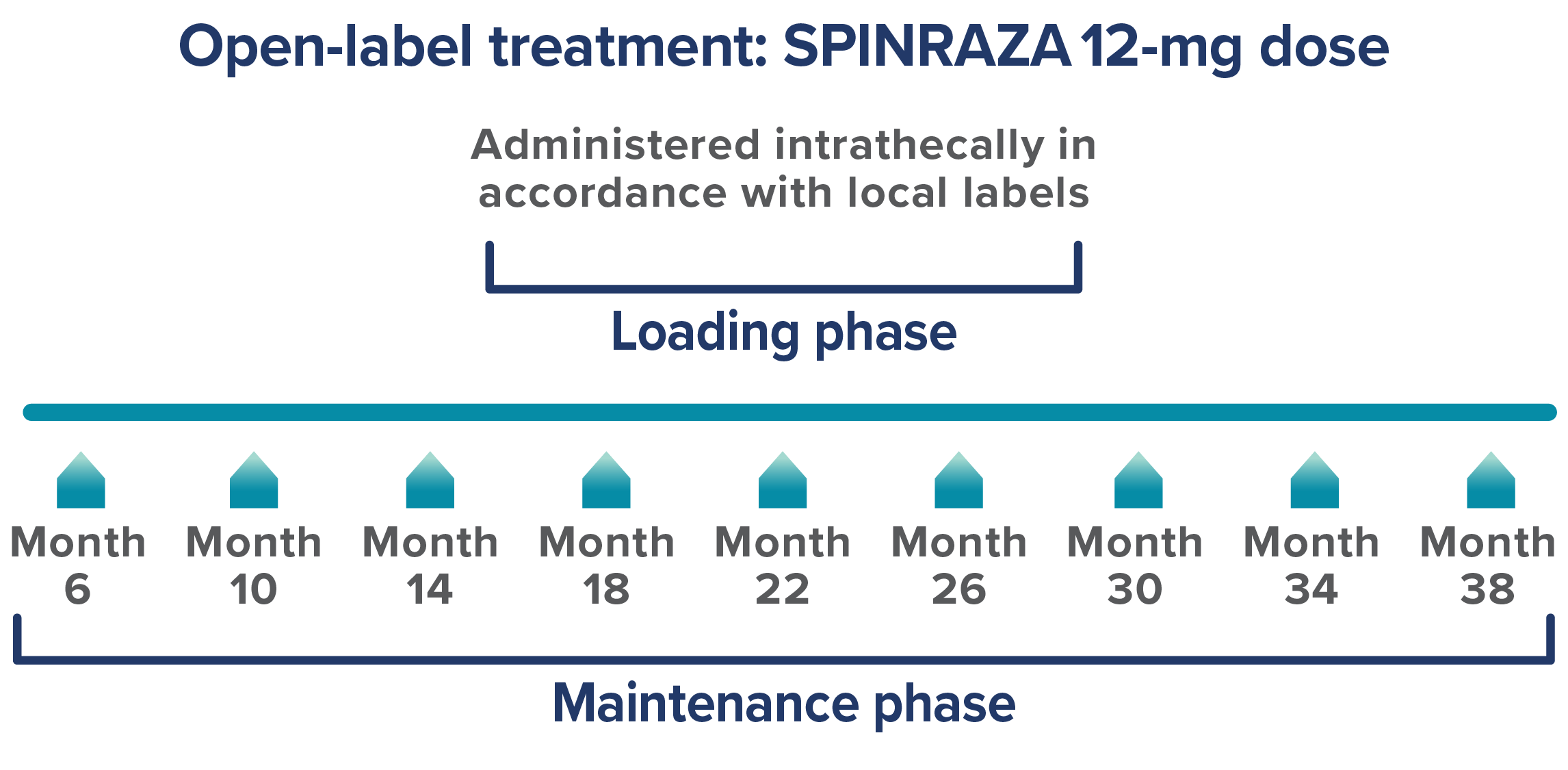 Dosing frequency graphic from the Gunther real-world study