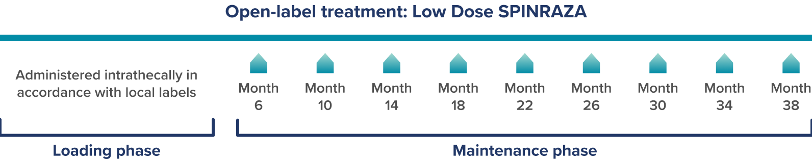 Dosing frequency graphic from the Gunther real-world study