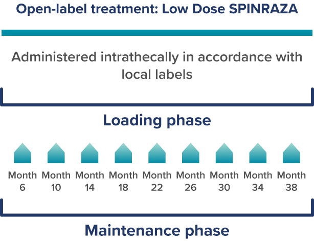 Dosing frequency graphic from the Gunther real-world study